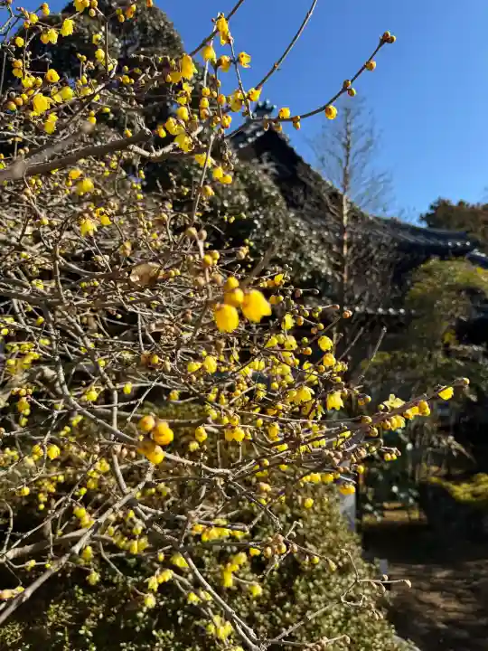 元三大師安楽寺の{uncategorized: "未分類", other: "その他", undefined: "問題あり", building: "その他建物", grave: "お墓", sacred_gate: "鳥居", guardian: "狛犬", statue: "像", buddha: "仏像", history: "歴史", nature: "自然", garden: "庭園", animal: "動物", pagoda: "塔", temizu: "手水舎", mountain_gate: "山門・神門", sanctuary: "本殿・本堂", subordinate: "末社・摂社", art: "芸術", scenery: "景色", jizo: "地蔵", ema: "絵馬", goshuin: "御朱印", omikuji: "おみくじ", items: "授与品その他", amulet: "お守り", goshuincho: "御朱印帳", eats: "食事", festival: "お祭り", votive_dance: "神楽", shichigosan: "七五三参", wedding: "結婚式", experience: "体験その他", initially: "初詣", around: "周辺", anti_infection: "感染症対策"}