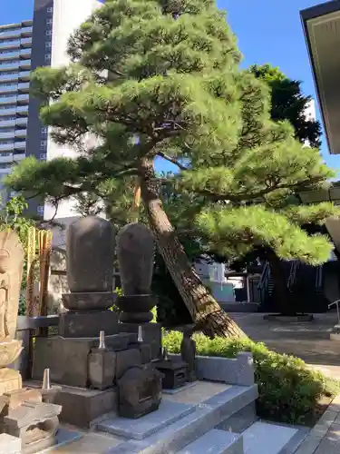 松秀寺(東京都)