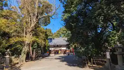 雙栗神社(京都府)