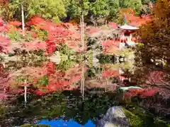 醍醐寺(京都府)