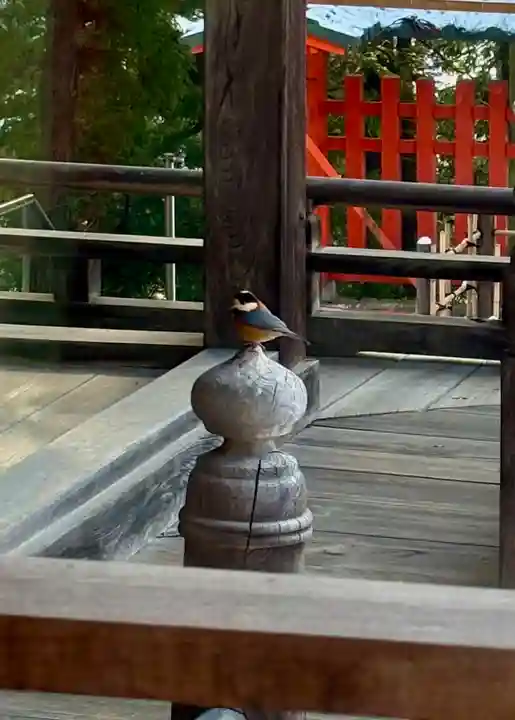 蚊里田八幡宮(長野県)