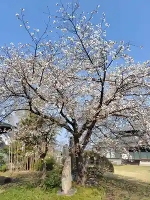 寶光寺(埼玉県)