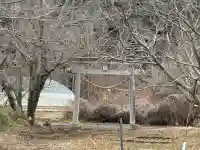 小坂熊野神社の{uncategorized: "未分類", other: "その他", undefined: "問題あり", building: "その他建物", grave: "お墓", sacred_gate: "鳥居", guardian: "狛犬", statue: "像", buddha: "仏像", history: "歴史", nature: "自然", garden: "庭園", animal: "動物", pagoda: "塔", temizu: "手水舎", mountain_gate: "山門・神門", sanctuary: "本殿・本堂", subordinate: "末社・摂社", art: "芸術", scenery: "景色", jizo: "地蔵", ema: "絵馬", goshuin: "御朱印", omikuji: "おみくじ", items: "授与品その他", amulet: "お守り", goshuincho: "御朱印帳", eats: "食事", festival: "お祭り", votive_dance: "神楽", shichigosan: "七五三参", wedding: "結婚式", experience: "体験その他", initially: "初詣", around: "周辺", anti_infection: "感染症対策"}
