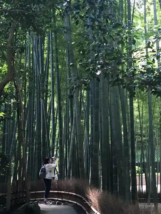 報国寺(神奈川県)