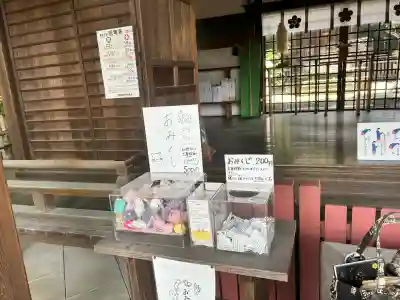 安居神社のおみくじ