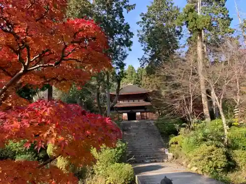 園城寺（三井寺）の建物その他