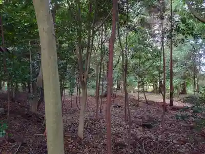 立志神社の周辺