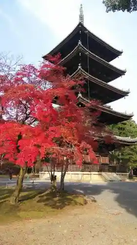 仁和寺の塔