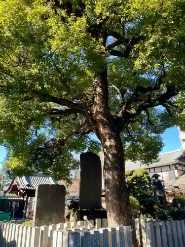 大楽院(神奈川県)