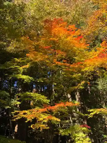 戸隠神社宝光社(長野県)