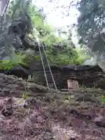 深草岩屋観音堂(深草山瑞岩寺奥院)の自然