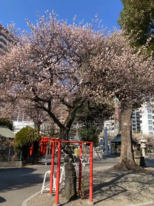 町田天満宮(東京都)