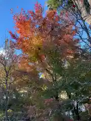 円勝寺(東京都)