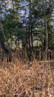 法界寺(日野薬師)(京都府)