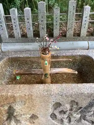 富部神社の手水舎
