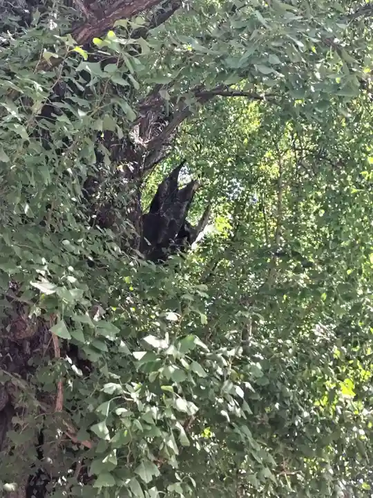 飛木稲荷神社(東京都)