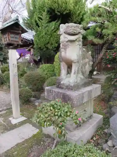 三輪恵比須神社の狛犬