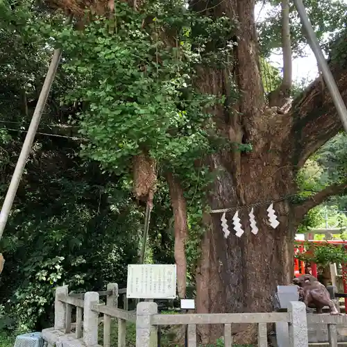 海南神社(神奈川県)