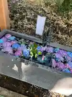 下野 星宮神社(栃木県)