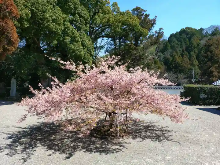 粉河寺の{uncategorized: "未分類", other: "その他", undefined: "問題あり", building: "その他建物", grave: "お墓", sacred_gate: "鳥居", guardian: "狛犬", statue: "像", buddha: "仏像", history: "歴史", nature: "自然", garden: "庭園", animal: "動物", pagoda: "塔", temizu: "手水舎", mountain_gate: "山門・神門", sanctuary: "本殿・本堂", subordinate: "末社・摂社", art: "芸術", scenery: "景色", jizo: "地蔵", ema: "絵馬", goshuin: "御朱印", omikuji: "おみくじ", items: "授与品その他", amulet: "お守り", goshuincho: "御朱印帳", eats: "食事", festival: "お祭り", votive_dance: "神楽", shichigosan: "七五三参", wedding: "結婚式", experience: "体験その他", initially: "初詣", around: "周辺", anti_infection: "感染症対策"}