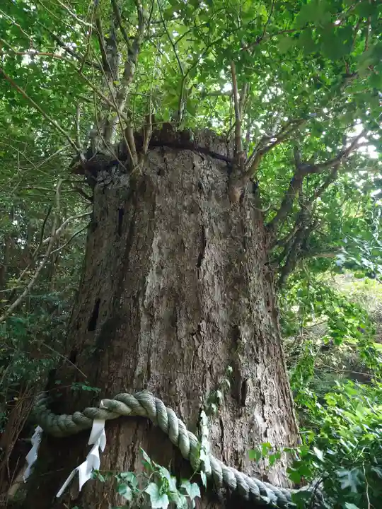 大元神社(宇佐神宮奥宮)(大分県)