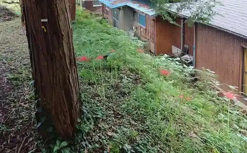 火牟須比神社(静岡県)
