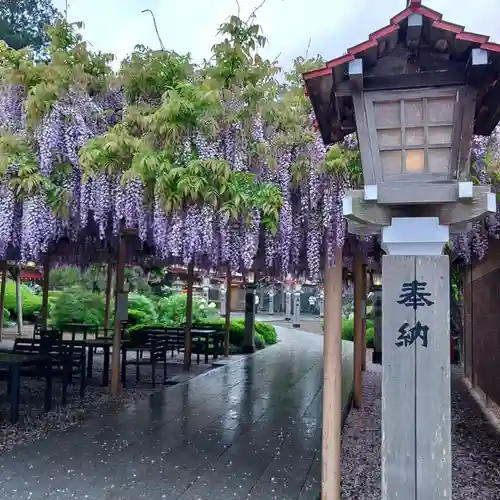 金蛇水神社の庭園