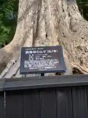 興禅寺の自然