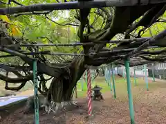 西寒多神社(大分県)