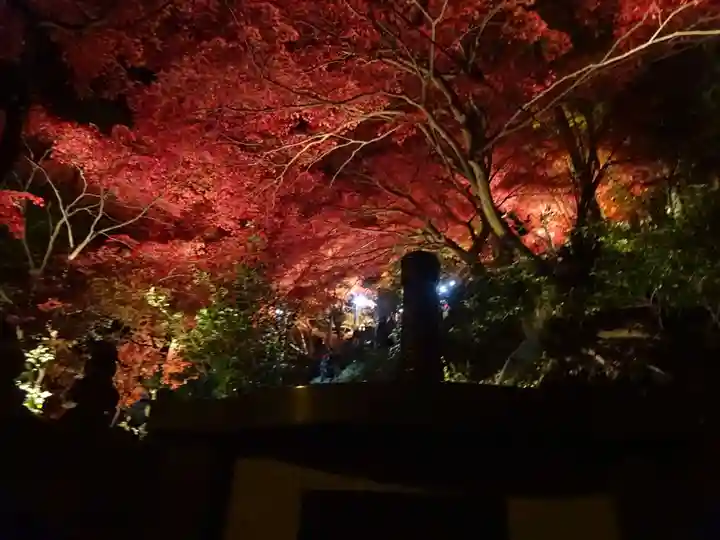 大山寺(神奈川県)