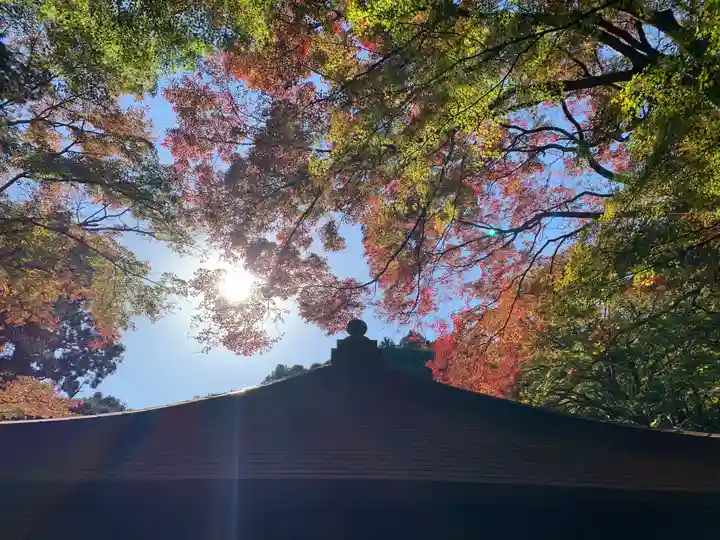 普門寺(切り絵御朱印発祥の寺)の自然