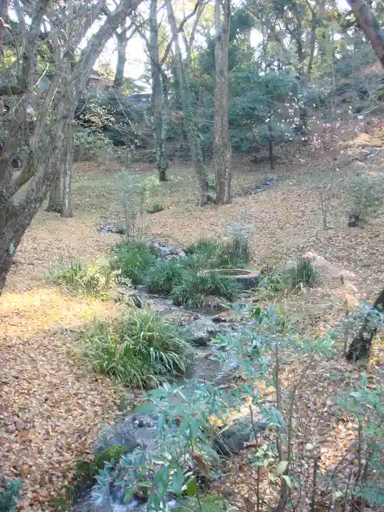 成田山新勝寺の自然