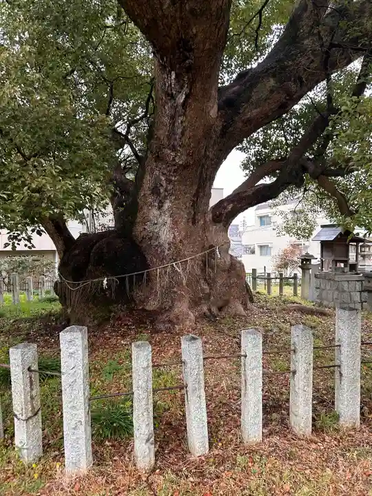 村上社(愛知県)