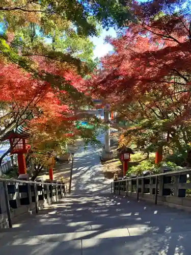 穴八幡宮(東京都)