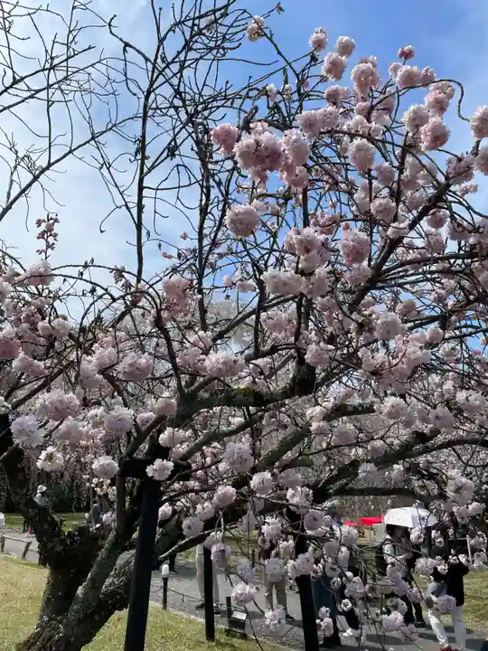 宝聚院(京都府)