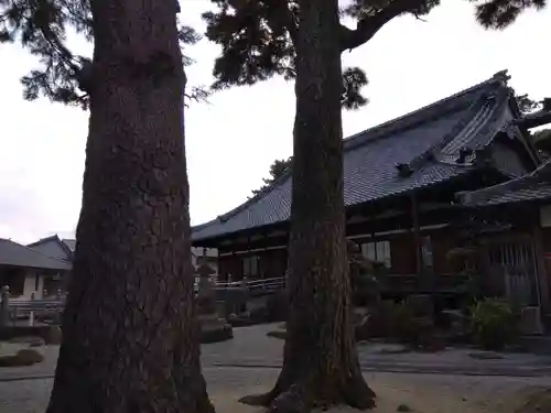 照源寺(三重県)