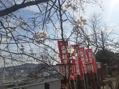 大船観音寺(神奈川県)