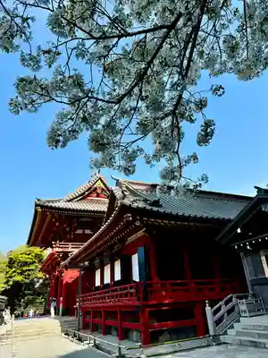 鶴岡八幡宮(神奈川県)