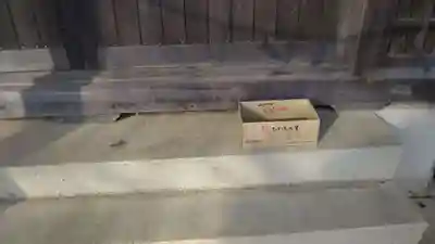 鹿島神社のその他建物