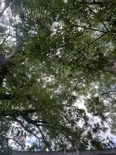 前川神社(埼玉県)