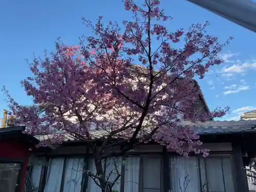 薬師寺(愛知県)