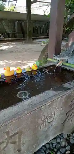 柏諏訪神社(千葉県)