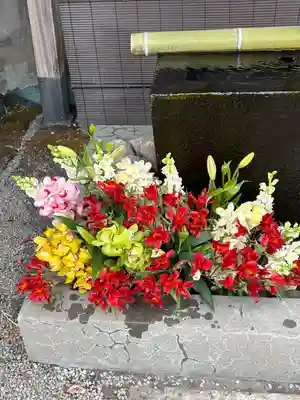 上尾御嶽神社の手水舎