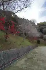 川見薬師寺の自然