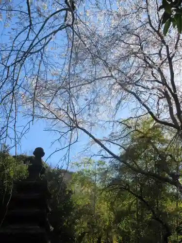 安國論寺（安国論寺）の景色