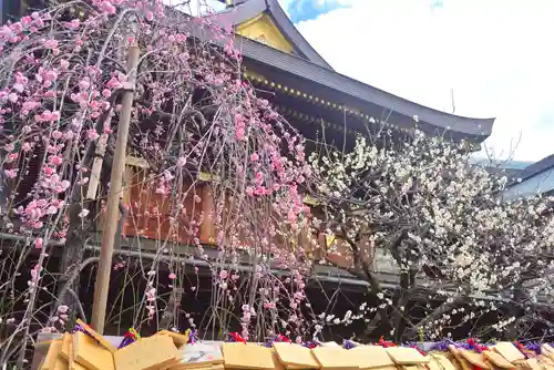 湯島天満宮(東京都)