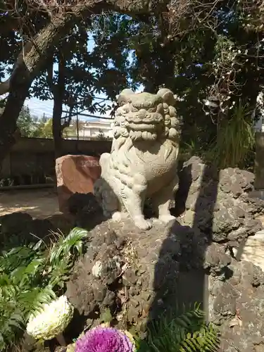 柏諏訪神社の狛犬