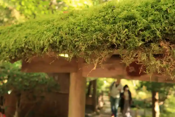 寂光院(京都府)