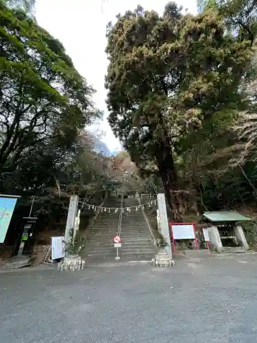 柞原八幡宮の{uncategorized: "未分類", other: "その他", undefined: "問題あり", building: "その他建物", grave: "お墓", sacred_gate: "鳥居", guardian: "狛犬", statue: "像", buddha: "仏像", history: "歴史", nature: "自然", garden: "庭園", animal: "動物", pagoda: "塔", temizu: "手水舎", mountain_gate: "山門・神門", sanctuary: "本殿・本堂", subordinate: "末社・摂社", art: "芸術", scenery: "景色", jizo: "地蔵", ema: "絵馬", goshuin: "御朱印", omikuji: "おみくじ", items: "授与品その他", amulet: "お守り", goshuincho: "御朱印帳", eats: "食事", festival: "お祭り", votive_dance: "神楽", shichigosan: "七五三参", wedding: "結婚式", experience: "体験その他", initially: "初詣", around: "周辺", anti_infection: "感染症対策"}