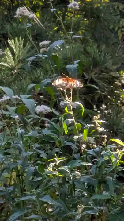 行願寺(革堂)(京都府)